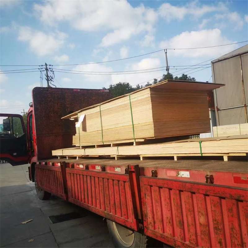 辽宁铁岭西丰县至塔城货运专线，一站式物流服务助您成功